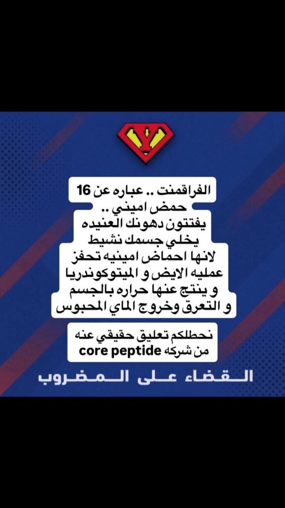 ريتا 6